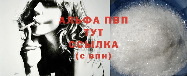 индика Инта