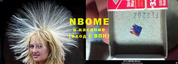 индика Инта