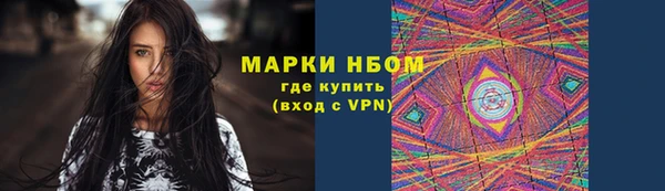 индика Инта