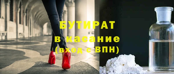 индика Инта