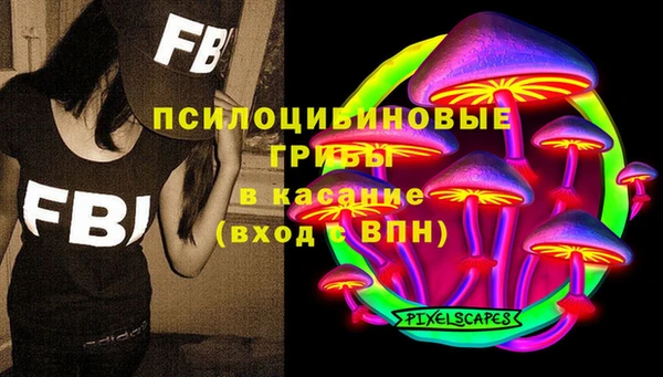 индика Инта