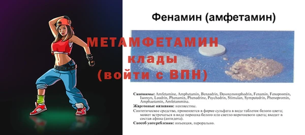 индика Инта