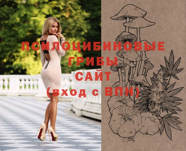 индика Инта