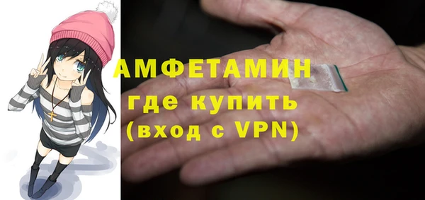 индика Инта