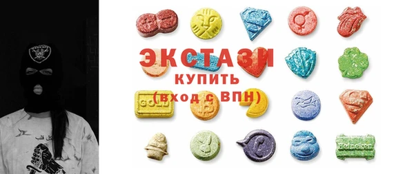 индика Инта