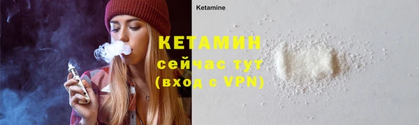 индика Инта