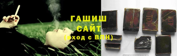 индика Инта