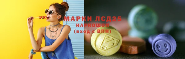 СК Инсар