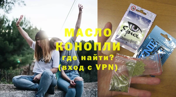 индика Инта