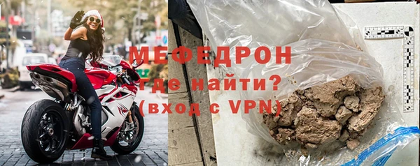 индика Инта