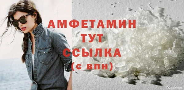 индика Инта
