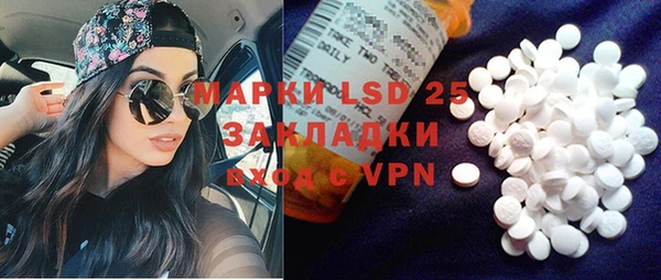 индика Инта