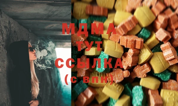 индика Инта