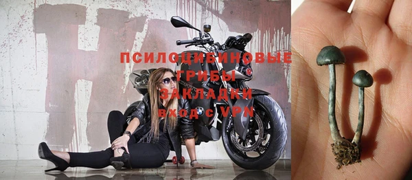 СК Инсар